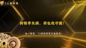 交易紀錄怎麼看才不會對錯帳?2026 TU娛樂教你核對入金時間、金額與訂單編號